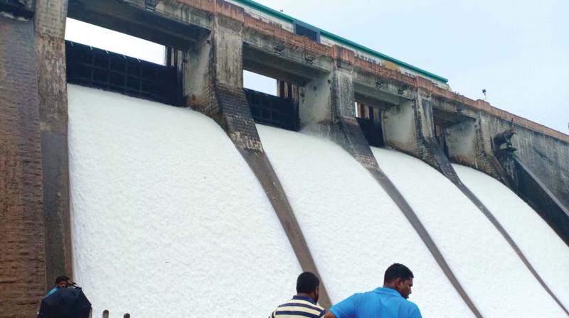 People gather near the Malampuzha dam as four shutters were opened on Thursday.  (Photo:DC)