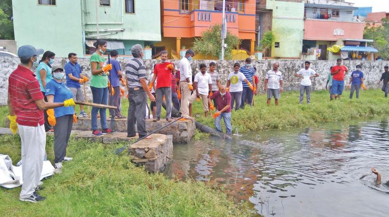 Students from IIT  Madras join hands with Art of Living  volunteers to clean a  pond in the city. (Photo: DC)