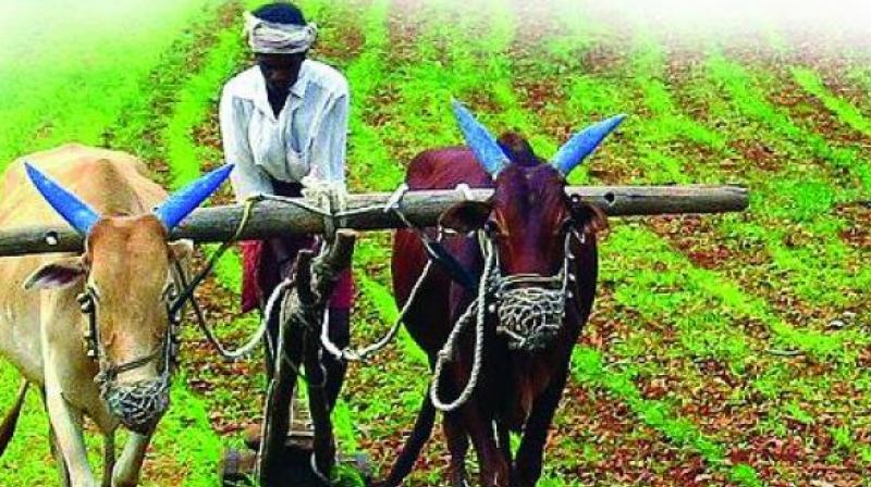 Revenue records will be updated across the state prior to the implementation of Chief Minister K. Chandrasekhar Raos scheme, announced on Friday, of extending financial assistance to farmers of Rs 8,000 per acre per year.