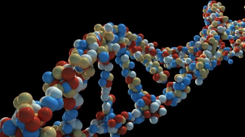 Gene editing is intended as a more precise way to do gene therapy, to knock out a bad gene or supply a good one thats missing (Photo: AFP)