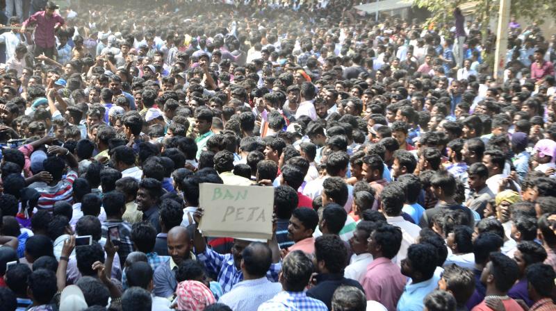 Thousands of villagers protesting at Alanganallur demanding police to release youth near Madurai on Tuesday (Photo: K. Manikandan)