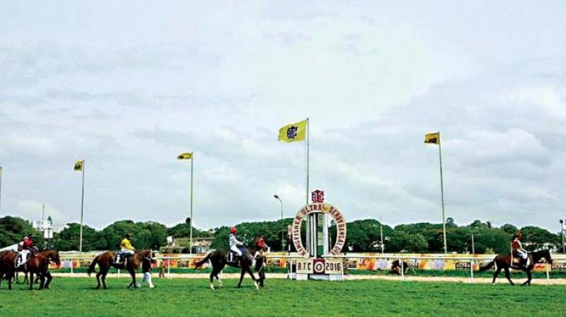 The officials of the Criminal Investigation Department (CID) started their probe into the alleged doping scandal in the Bangalore Turf Club (BTC) on Thursday and questioned several officials of the BTC in this connection.