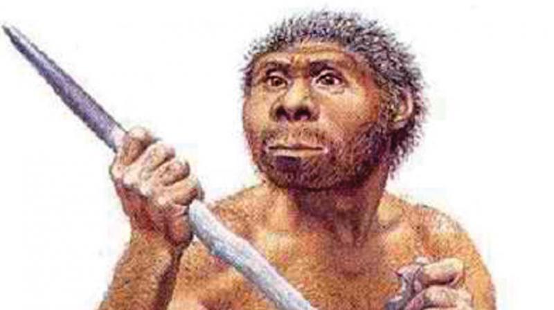 He said that very early in primate evolution, man learnt to use randomly scattered rocks to chop marrow and meat and later there was an attempt to shape the rock by hitting it with another to produce a sharp-edged achulian hand axe, which in turn was tied to a handle.