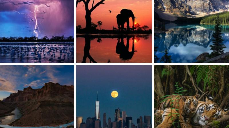 National Geographics most-liked Instagram images of 2016