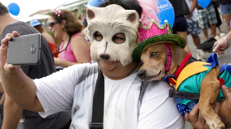 Brazils gone to the dogs: Pooches dress up for Blocao carnival at Rio de Janeiro
