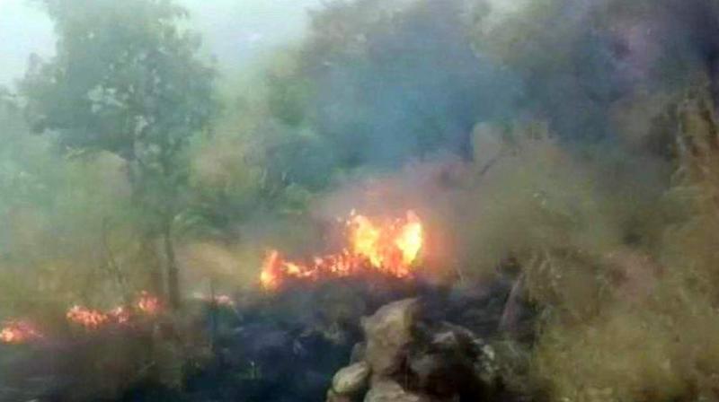 The fire broke out in Tamil Nadus Theni district while a Chennai-based trekking club, which had 25 women and 3 children, had organised the expedition from Kurangani to Bodi in the Western Ghats. (Photo: ANI)