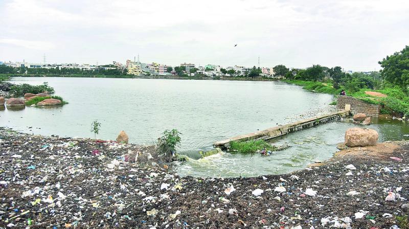 The Yellamma cheruvu in Kukatpally which has no water hyacinth has been listed to be cleared of the weed. (Photo: R. Pavan)