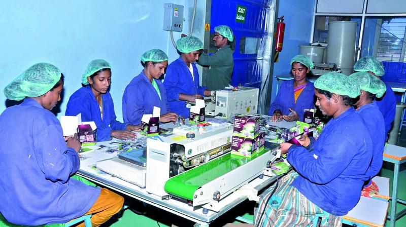 Manufacturing industries in the sectors of electronics, textile, food processing, toy making, etc started giving increasing preference to women. (Photo: DC)
