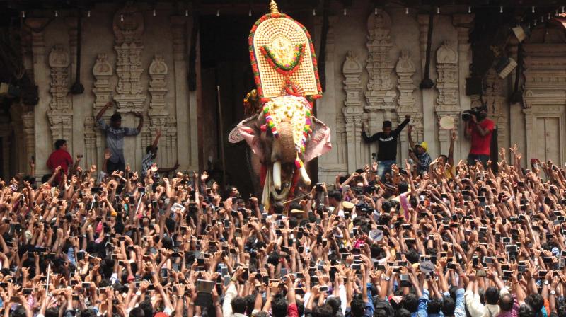 Over 117 elephants will be part of the Thrissur Pooram that will be held on Wednesday.
