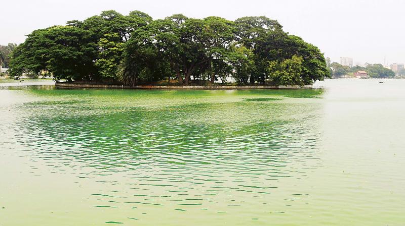 Ulsoor Lake