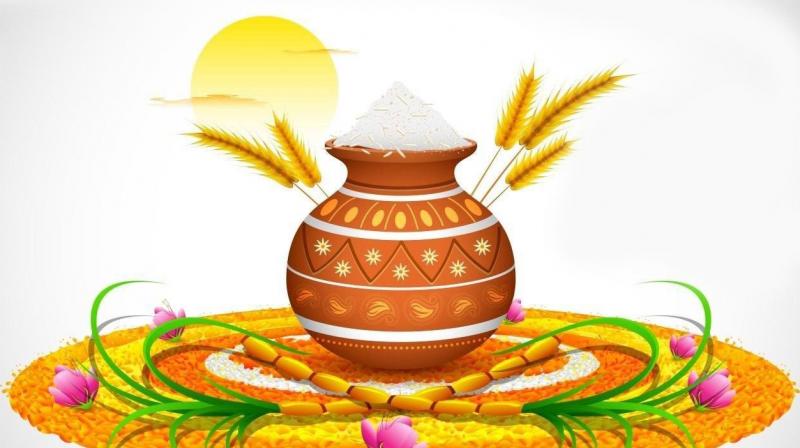 Sankranti specials