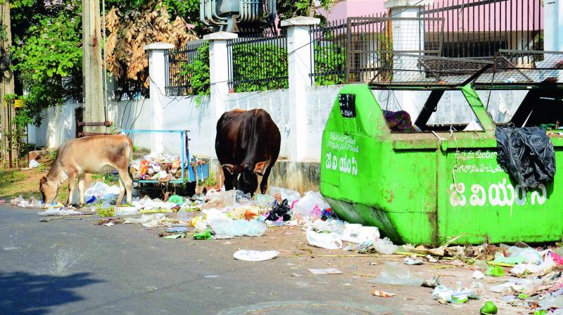 Garbage piled up around the GVMC dustbins near East Point Colony in Visakhapatnam on Friday. (Photo: DC)