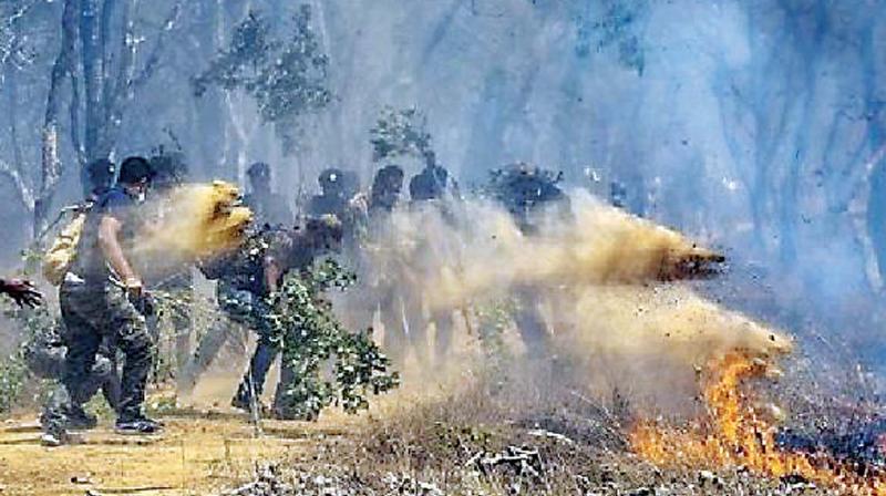 \Forest fire fighting must find precedence in budget planning. What is the use of bringing more areas under tree cover when you cannot save existing forest? My suggestion is that they should earmark more funds for fire fighting,\ said B.K. Singh, former PCCF, Karnataka.