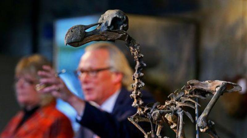 The total paid money for the skeleton would be 346,300 pounds which includes the fee of the auction house (Photo: AP)