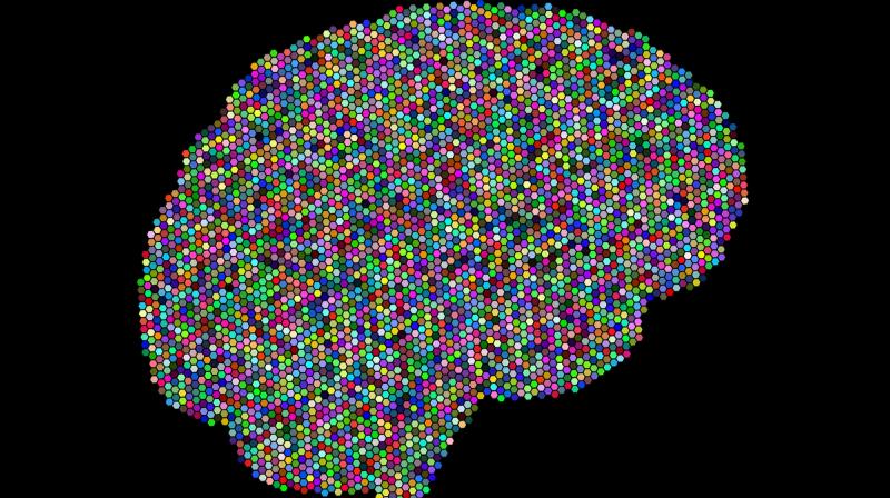 Stanford University researchers investigate complex nature of concussions
