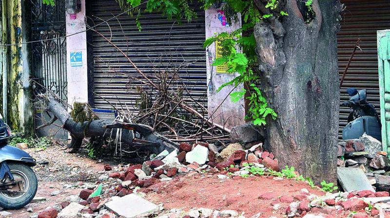 The branches of trees along the road from Hanumanpet to Malkajgiri cut and dumped on the pavement.