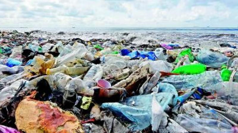 A senior HMDA official said the plastic coming from upstream was the reason for the stench on the stretch between Sanjeevaiah Park and PV Ghat. (Representational Images)