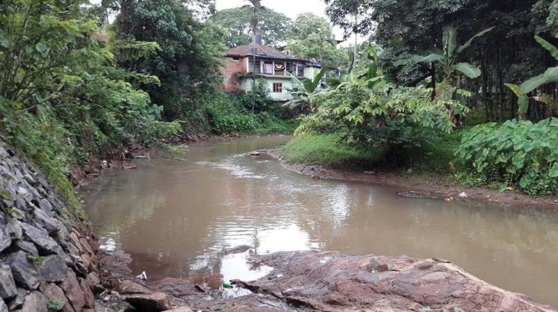 Olippuzha riverlet, a tirbutary of Kadalundi river. (Photo: DC)