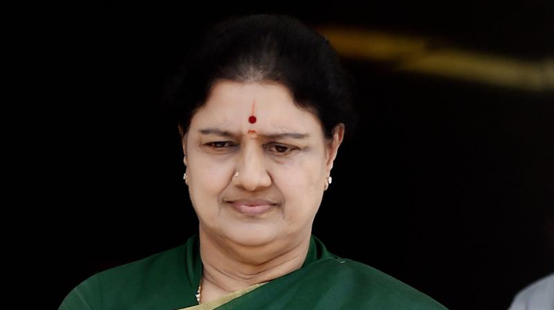 AIADMK General Secretary V K Sasikala (Photo: PTI)