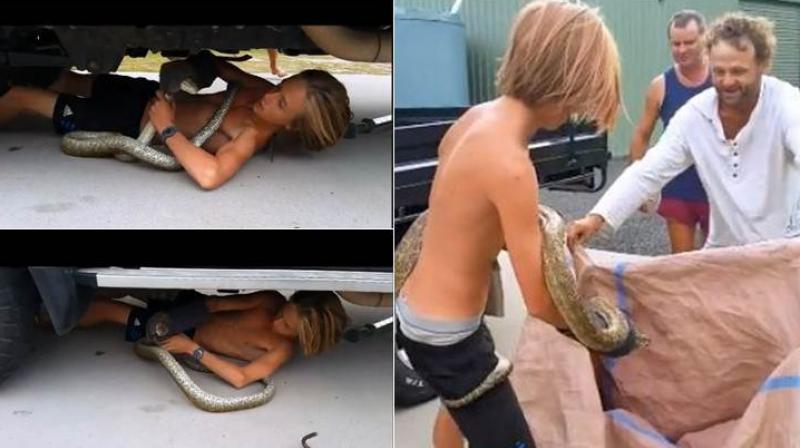 Apparently Oli Wardrope,14, from Seventeen Seventy in Queensland, makes handling serpents look like a cake walk. (Credit: Facebook)