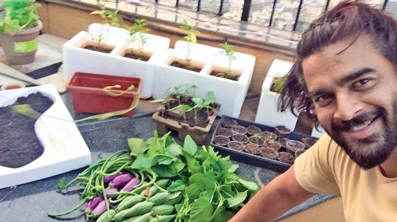 Actor R. Madhavan engaging actively in urban farming at his house. (Photo: DC)