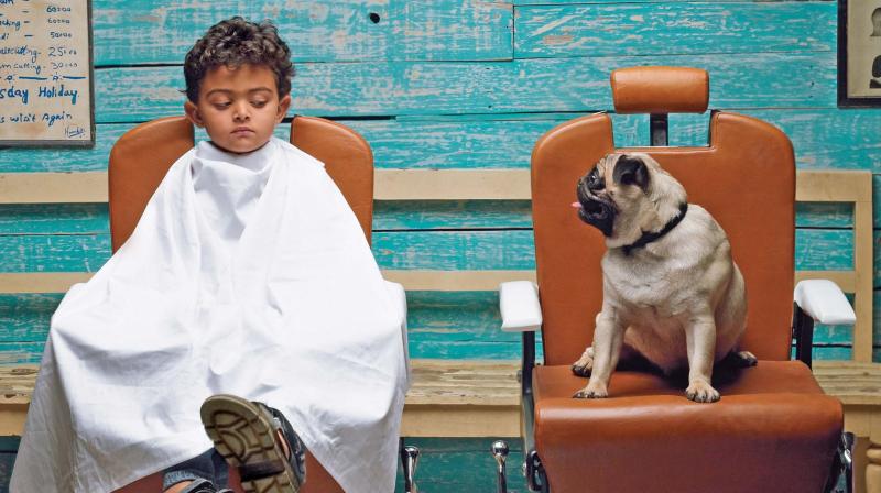The iconic Hutch ad with the pug and the boy.