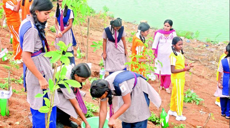 Students plant saplings during the restoration process.