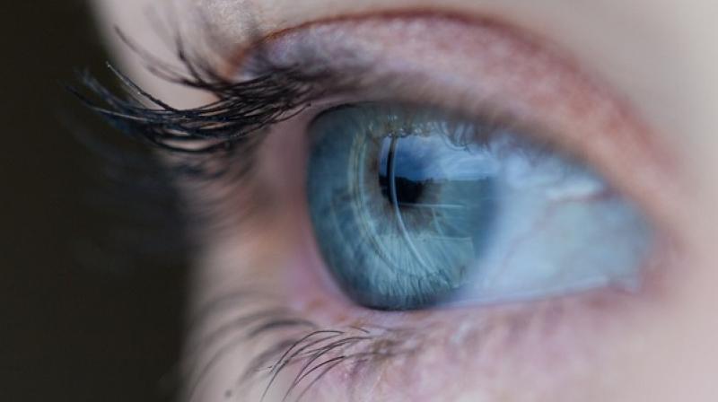 Retina is that part of the eye where the final vision is formed, the way it is created on a film inside a camera. (Photo: Pixabay)