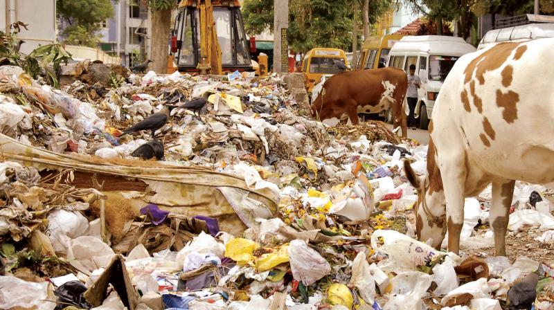 On days when dry waste is collected, garbage vehicles do not accept wet waste and people said wet waste stinks if kept for more than a day in their house or on the premises and they ended up dumping it in public places.
