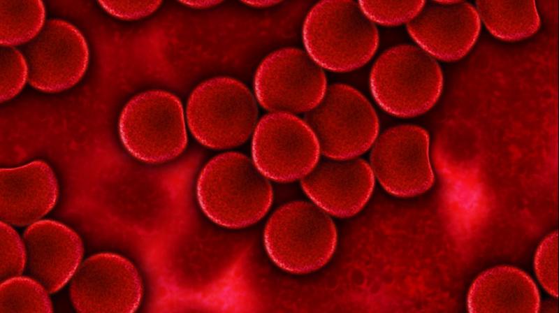 The treatment called CAR-T (kar-T) therapy involves altering some of a patients own blood cells in the lab to contain a gene that targets cancer. (Photo: Pixabay)