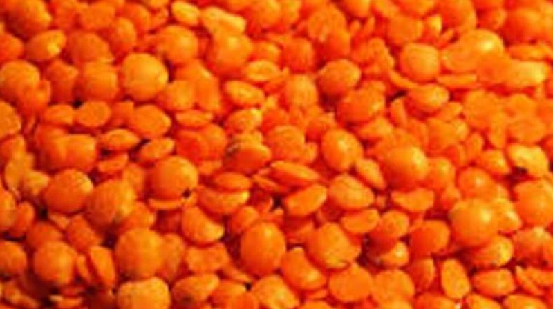 There was a talk NAFED would buy only 50,000 tonnes hence we met the Union Minister. He promised us that there would be no limit in the purchase of red gram from farmers,  Mr Kumar said. (Representational image)