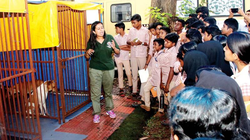 Humane Society Internationals education and awareness officer Sally Kannan explains the process of dog sterilisation to students of Government Model High School, Calicut University campus on Tuesday. (Photo: DC)
