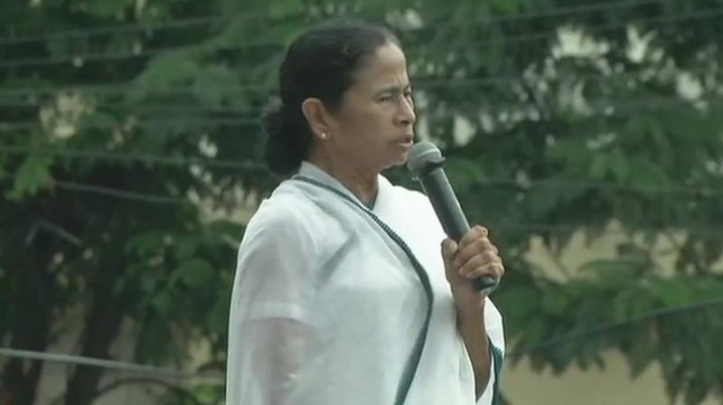 The West Bengal Chief Minister, also exuded confidence that her party will win all the 42 Lok Sabha seats.  (Photo: ANI | Twitter)