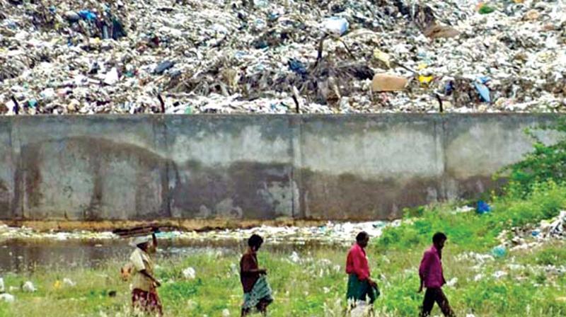 About 1000 tonnes of garbage collected from city mixed with hotel waste, bio-medical and industrial waste are being dumped at Vellalore dump yard daily.