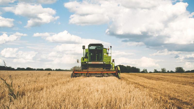 ICT and the recent addition of IoT have started transforming the agriculture industry and helping farmers to improve their crops productivity and yield. (Representative image: Pexels)