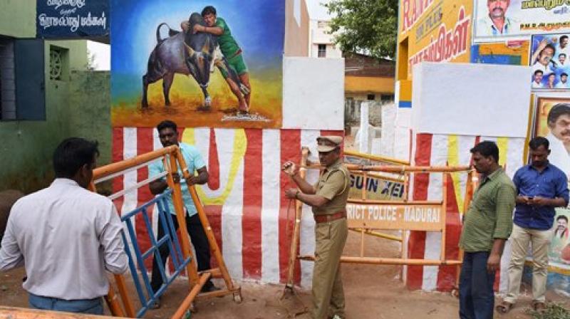 Police place barricades in front of Vadi Vasal to impose the ban on Jallikattu at Alanganallur in Madurai on Friday. (Photo: PTI)