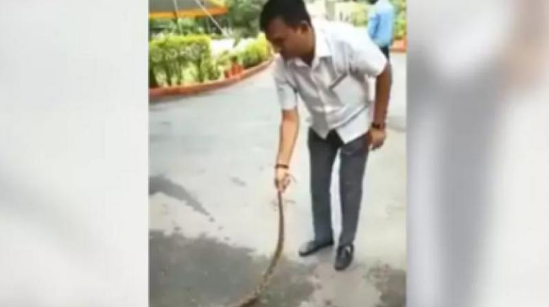 In the video, shot by one of his staff members, Dhanani can be seen holding the snake by its tail. (Photo: Facebook | Paresh Dhanani)