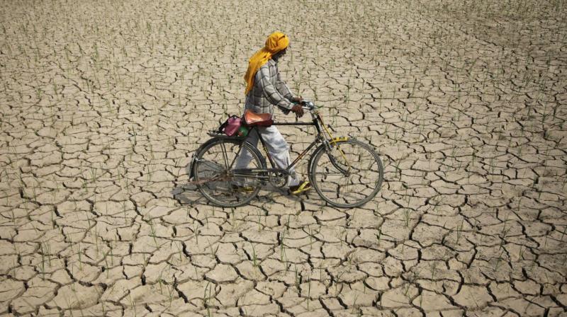 Karnataka government may get drought relief of less than Rs 2,000 crore. (Photo: AP/Representational)