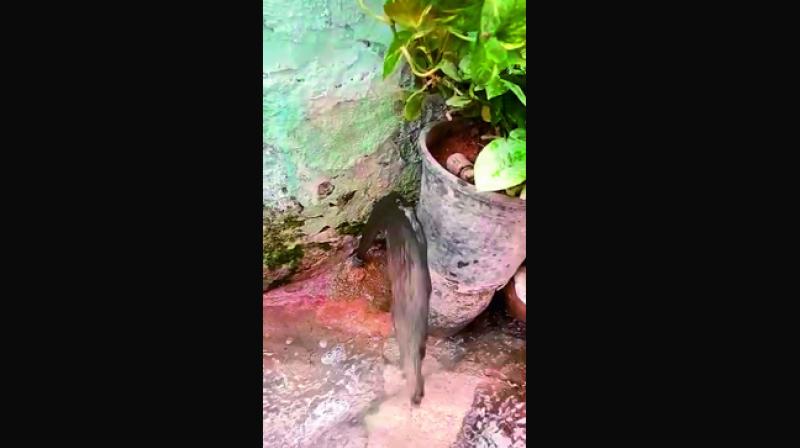 A screengrab of dirty water supplied to residents in cantoment colonies.