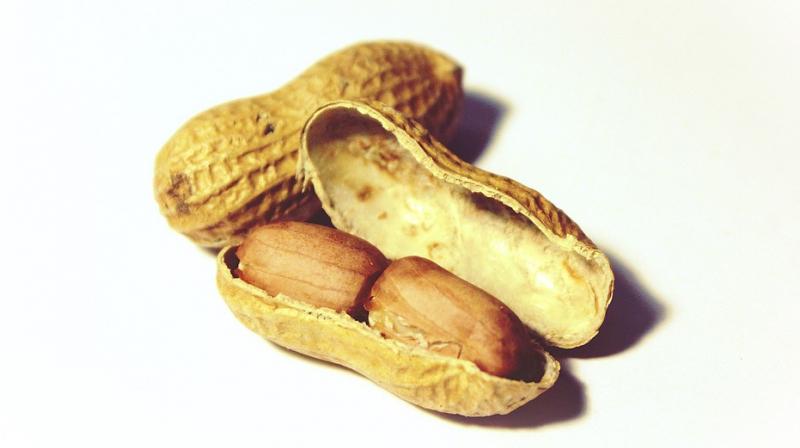 Allergies towards peanuts are the most common food allergies. (Photo: Pixabay)