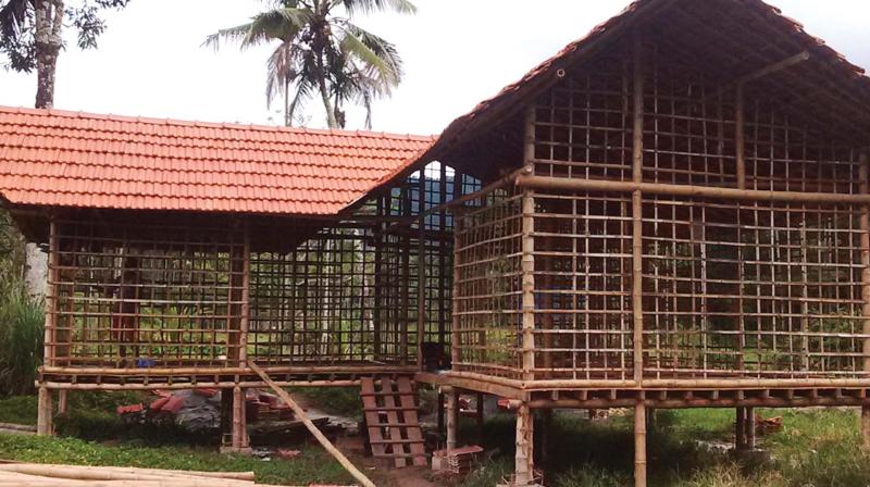 It also runs as a training centre with skillful trainees to teach different applications of bamboo.