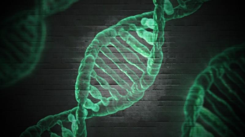 Jumping genes key to evolution, researchers reveal. (Photo: Pixabay)