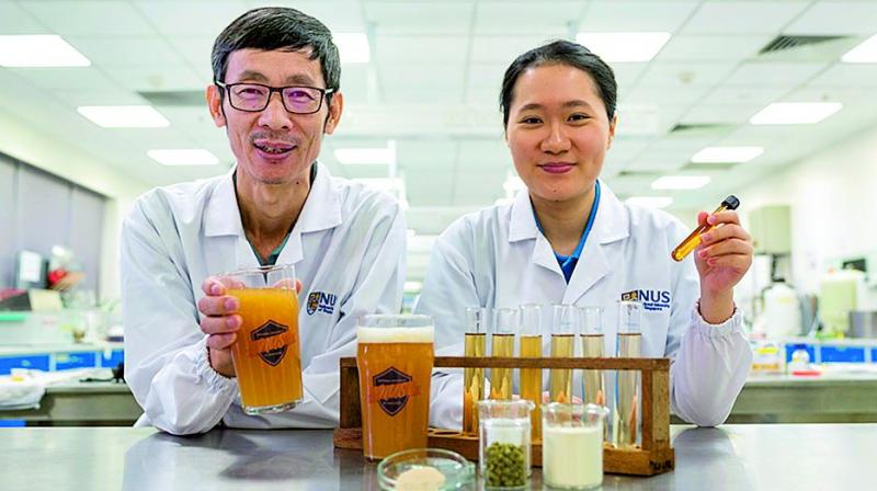 Researchers at National university of Singapore (NUS) have created a special brew of beer, which comes with Lactobacillus paracasei L26.