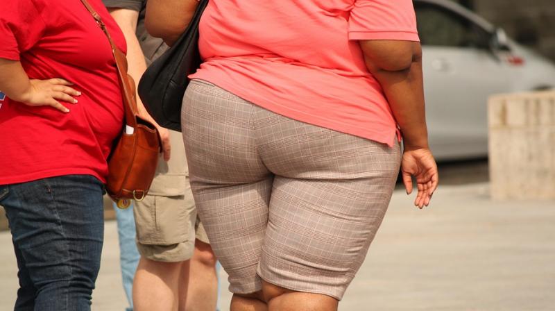 Quarter of global population will be obese in 27 years, new study warns. (Photo: Pixabay)
