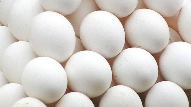 The egg is a polarising issue, but not along neat, predictable, party-political lines. (Representational Image)