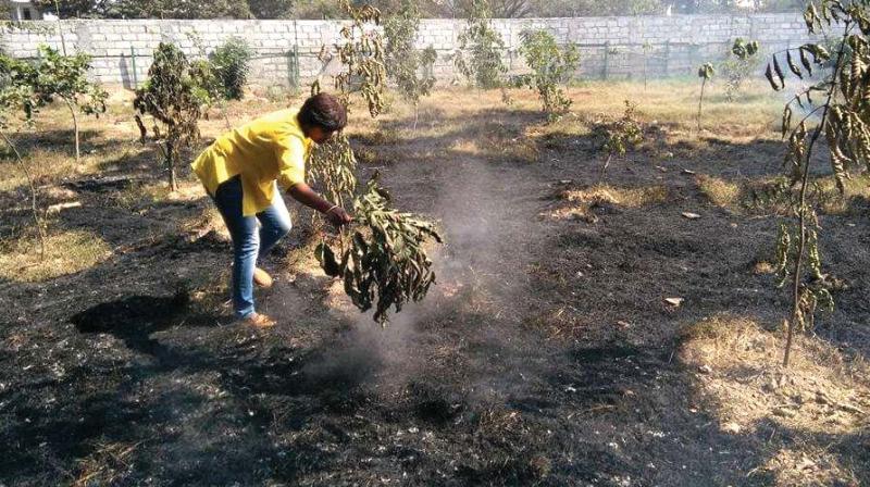 People trying to dowse the fire which spread in the mini-forest in HSR layout