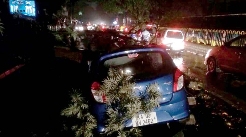 Pre-monsoon showers saw four hour traffic jams in Yelahanka, a tree collapse in Sadashivnagar on Saturday eveninKPN