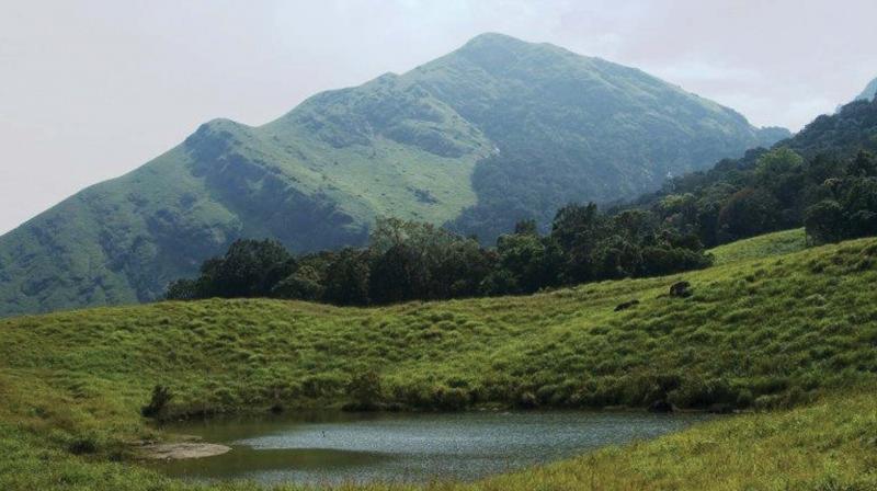 Chembra Peak