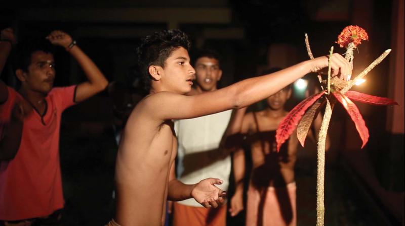 Tulu youth fix palamaram to celebrate Poliyandram  during last Deepavali season.