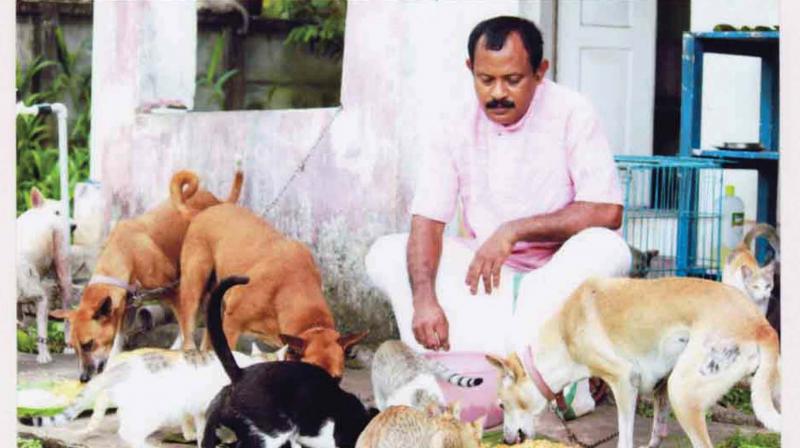 Bapputty, a bachelor and a taxi driver,  has been protecting injured strays for the last 30 years.